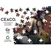 image:imageCeaco  Strangeling  Amara Book  750 Piece Jigsaw Puzzle