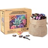 image:imageBuffalo Games  250 Piece Wooden Jigsaw Puzzle Simple Succulents Unique Shaped Whimsy Pieces 2675 x 1975 Poster Cloth Bag Wooden Box Adults 14