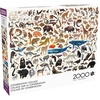 image:imageBuffalo Games  Kara Mohr  Conservation Collage  2000 Piece Jigsaw Puzzle for Adults  Challenging Puzzle Perfect for Game Nights  Finished Size is 3850 x 2650