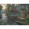 image:imageBuffalo Games  Kim Norlien  King of The North  1000 Piece Jigsaw Puzzle for Adults Challenging Puzzle Perfect for Game Nights  Finished Puzzle Size is 2675 x 1975