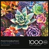 image:imageBuffalo Games James Mertke Simple Succulent 1000 Piece Jigsaw Puzzle  2675 x 1975 in Rectangular  Puzzles for Adults  Vibrant Plant Artwork  Bonus Reference DiagramPuzzle