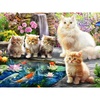 image:imageCeaco  A Purrfect Day  500 Piece Jigsaw Puzzle