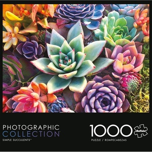 image:imageBuffalo Games James Mertke Simple Succulent 1000 Piece Jigsaw Puzzle  2675 x 1975 in Rectangular  Puzzles for Adults  Vibrant Plant Artwork  Bonus Reference DiagramPuzzle