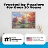 image:imageBuffalo  500 Piece Abraham Hunter Sunday Morning Jigsaw Puzzle Colorful Puzzle for Adults  PrecisionCut Pieces Beautiful Artwork and Hours of Relaxing Fun