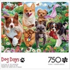 image:imageBuffalo Games  Image World  Playtime in the Meadow  750 Piece Jigsaw Puzzle for Adults Challenging Puzzle Perfect for Game Nights  Finished Size is 2400 x 1800