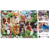 image:imageBuffalo Games  Image World  Playtime in the Meadow  750 Piece Jigsaw Puzzle for Adults Challenging Puzzle Perfect for Game Nights  Finished Size is 2400 x 1800