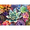 image:imageBuffalo Games  James Mertke  Simple Succulents  300 Piece Jigsaw Puzzle for Adults Challenging Puzzle Perfect for Game Nights  Finished Size is 2125 x 1500