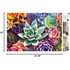 image:imageBuffalo Games  James Mertke  Simple Succulents  300 Piece Jigsaw Puzzle for Adults Challenging Puzzle Perfect for Game Nights  Finished Size is 2125 x 1500
