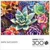 image:imageBuffalo Games  James Mertke  Simple Succulents  300 Piece Jigsaw Puzzle for Adults Challenging Puzzle Perfect for Game Nights  Finished Size is 2125 x 1500