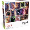 image:imageBuffalo Games  Louise Goalby  Cat Candids  750 Piece Jigsaw Puzzle for Adults Challenging Puzzle Perfect for Game Nights  Finished Size is