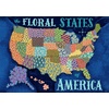 image:imageBuffalo Games  Zirkus Design LLC  The Floral States of America  300 Piece Jigsaw Puzzle for Adults Challenging Puzzle Perfect for Game Nights  Finished Size is 2125 x 1500