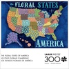 image:imageBuffalo Games  Zirkus Design LLC  The Floral States of America  300 Piece Jigsaw Puzzle for Adults Challenging Puzzle Perfect for Game Nights  Finished Size is 2125 x 1500