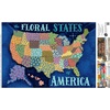 image:imageBuffalo Games  Zirkus Design LLC  The Floral States of America  300 Piece Jigsaw Puzzle for Adults Challenging Puzzle Perfect for Game Nights  Finished Size is 2125 x 1500