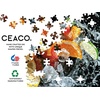 image:imageCeaco  Color Splash  Fruitsplash  750 Piece Jigsaw Puzzle