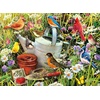 image:imageCeaco  Garden Birds  300 Piece Jigsaw Space Saver Puzzle  Puzzles for Smaller Spaces and Surfaces