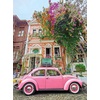 image:imageCeaco  Scenic Photography  Boulevard in Bloom  300 Piece Jigsaw Puzzle