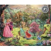 image:imageCeaco  Silver Select  TK Disney  Sleeping Beauty  1000 Piece Jigsaw Puzzle for Adults  Challenging Puzzle Perfect for Game Nights