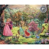 image:imageCeaco  Silver Select  TK Disney  Sleeping Beauty  1000 Piece Jigsaw Puzzle for Adults  Challenging Puzzle Perfect for Game Nights