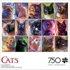 image:imageBuffalo Games  Louise Goalby  Cat Candids  750 Piece Jigsaw Puzzle for Adults Challenging Puzzle Perfect for Game Nights  Finished Size is