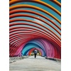 image:imageBuffalo Games  Harimao Lee  Kuala Lumpur  300 Piece Jigsaw Puzzle for Adults Challenging Puzzle Perfect for Game Nights  Finished Size is 2125 x 1500