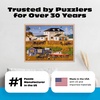 image:imageBuffalo Games  Stoney Bay  Charles Wysocki  1000 Piece Jigsaw Puzzle for Adults  Coastal Americana Art  Colorful PrecisionCut Pieces  Adult Puzzles