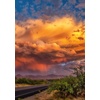 image:imageBuffalo Games  Chuck Jentile  Desert Clouds Arizona  500 Piece Jigsaw Puzzle for Adults Challenging Puzzle Perfect for Game Nights  Finished Size is 2125 x 1500