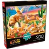 image:imageBuffalo Games  Adrian Chesterman  Fantastic Fennec Foxes  500 Piece Jigsaw Puzzle for Adults Challenging Puzzle Perfect for Game Nights  Finished Size is 2125 x 1500