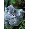 image:imageBuffalo Games  Earthpix  Bear Hug  500 Piece Jigsaw Puzzle for Adults Challenging Puzzle Perfect for Game Nights  Finished Size is 2125 x 1500