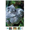 image:imageBuffalo Games  Earthpix  Bear Hug  500 Piece Jigsaw Puzzle for Adults Challenging Puzzle Perfect for Game Nights  Finished Size is 2125 x 1500