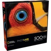 image:imageBuffalo Games  NatGeoJoel Sartore  Ariel Toucan  500 Piece Jigsaw Puzzle for Adults  Challenging Puzzle Perfect for Game Nights  Finished Puzzle Size is 2125 x 1500