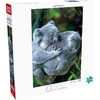 image:imageBuffalo Games  Earthpix  Bear Hug  500 Piece Jigsaw Puzzle for Adults Challenging Puzzle Perfect for Game Nights  Finished Size is 2125 x 1500
