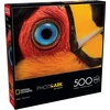 image:imageBuffalo Games  NatGeoJoel Sartore  Ariel Toucan  500 Piece Jigsaw Puzzle for Adults  Challenging Puzzle Perfect for Game Nights  Finished Puzzle Size is 2125 x 1500