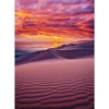 image:imageBuffalo Games  blanc  Kristina Makeeva  Socotra Island Yemen  300 Piece Jigsaw Puzzle for Adults Challenging Puzzle Perfect for Game Nights  Finished Size is 2125 x 1500