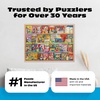 image:imageBuffalo Games  Aimee Stewart The Kitschy  1000 Piece Puzzle for Adults  Art by Aimee Stewart Made in USA Recycled Board Finished Size 2625 x 1975 in FullSize Poster Included Giftable