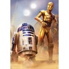 image:imageBuffalo Games  Star Wars   Droids at Tatooine  300 Piece Jigsaw Puzzle for Adults Challenging Puzzle Perfect for Game Nights  Finished Size is 2125 x 1500