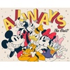 image:imageCeaco  Disney Mickey and Friends  5 Pack 300750 Piece Jigsaw Puzzles