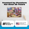 image:imageBuffalo Games  Jeff Haynie  Celebrate Americas Best  500PC Puzzle
