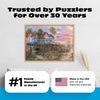 image:imageBuffalo Games  Abraham Hunter  Beach Life  1000PC Puzzle